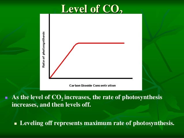 factors that affect photosynthesis Photosynthesis first, cellular respiration second photosynthesis: the intensity of the light being absorbed by the chloroplasts the concentration and availability of co2 (carbon dioxide) the temperature cellular respiration the availability of oxygen (determines whether or not fermentation will be used) the availability and amount of glucose. factors that affect photosynthesis Photosynthesis first, cellular respiration second photosynthesis: the intensity of the light being absorbed by the chloroplasts the concentration and availability of co2 (carbon dioxide) the temperature cellular respiration the availability of oxygen (determines whether or not fermentation will be used) the availability and amount of glucose.