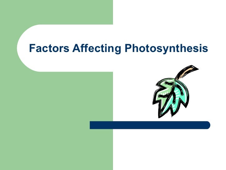 factors affecting rate of photosynthesis The main variables which affect photosynthesis are light, water, co 2 concentration and temperature on a deeper level, other factors like amount of chlorophyll, availability of nutrients (eg mg is needed for chlorophyll synthesis) will also affect the rate of photosynthesis, though these are rarely covered in discussion of this topic. factors affecting rate of photosynthesis The main variables which affect photosynthesis are light, water, co 2 concentration and temperature on a deeper level, other factors like amount of chlorophyll, availability of nutrients (eg mg is needed for chlorophyll synthesis) will also affect the rate of photosynthesis, though these are rarely covered in discussion of this topic.