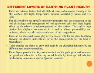 DIFFERENT LAYERS OF EARTH ND PLANT HEALTH
 There are external factors that affect the diversity of microbes thriving in the
phyllosphere like light, temperature, nutrient availability, water, and UV
light.
 The phyllosphere has specific microenvironments that are according to the
leaf physiology and arrangement of leaf epidermal cells and these highly
affect the abundance of microorganisms on the surface. The cuticle layer
outside has aliphatic compounds in it and it allows permeability and
moisture, which provide better attachment of microorganisms.
 Thus, all the aforesaid layers play a very crucial role for the plant health by
drawing the desired nutrients as far as the requirements for the best of
productivity .
 It also enables the plants to grow and adapt in the changing dynamics by the
different man made constraints,
 These layers provide the key roles to eliminate the pathogens and welcome
the good microbes for achieving sound health by their special adaptive
mechanisms to maintain system dynamic in nature.
 