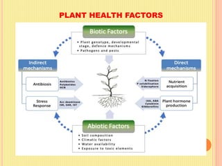 PLANT HEALTH FACTORS
 