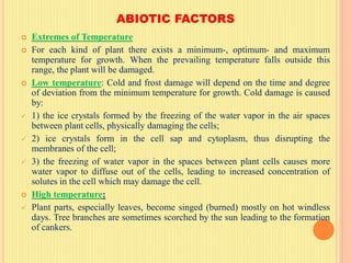 ABIOTIC FACTORS
 Extremes of Temperature
 For each kind of plant there exists a minimum-, optimum- and maximum
temperature for growth. When the prevailing temperature falls outside this
range, the plant will be damaged.
 Low temperature: Cold and frost damage will depend on the time and degree
of deviation from the minimum temperature for growth. Cold damage is caused
by:
 1) the ice crystals formed by the freezing of the water vapor in the air spaces
between plant cells, physically damaging the cells;
 2) ice crystals form in the cell sap and cytoplasm, thus disrupting the
membranes of the cell;
 3) the freezing of water vapor in the spaces between plant cells causes more
water vapor to diffuse out of the cells, leading to increased concentration of
solutes in the cell which may damage the cell.
 High temperature:
 Plant parts, especially leaves, become singed (burned) mostly on hot windless
days. Tree branches are sometimes scorched by the sun leading to the formation
of cankers.
 