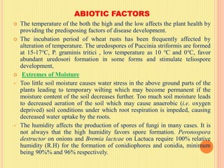 ABIOTIC FACTORS
 The temperature of the both the high and the low affects the plant health by
providing the predisposing factors of disease development.
 The incubation period of wheat rusts has been frequently affected by
alteration of temperature. The uredospores of Puccinia striformis are formed
at 15-17℃, P. graminis tritici , low temperature as 10 ℃ and 0℃, favor
abundant uredosori formation in some forms and stimulate teliospore
development,
 Extremes of Moisture
 Too little soil moisture causes water stress in the above ground parts of the
plants leading to temporary wilting which may become permanent if the
moisture content of the soil decreases further. Too much soil moisture leads
to decreased aeration of the soil which may cause anaerobic (i.e. oxygen
deprived) soil conditions under which root respiration is impeded, causing
decreased water uptake by the roots.
 The humidity affects the production of spores of fungi in many cases. It is
not always that the high humidity favors spore formation. Peronospora
destructor on onions and Bremia lactcae on Lactuca require 100% relative
humidity (R.H) for the formation of conidiophores and conidia, minimum
being 90%% and 96% respectively.
 