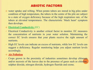 ABIOTIC FACTORS
 water uptake and wilting. When potato tubers are stored in big piles under
condition of high temperature, the tubers in the centre of the pile are subject
to a state of oxygen deficiency because of the high respiration rate. of the
tubers at elevated temperatures. The characteristic ‘black heart’ symptom
then develops.
 Electrical Conductivity (EC)
 Electrical Conductivity is another critical factor to monitor. EC measures
the concentration of nutrients in your water solution. Maintaining the
correct EC levels ensures that your plants receive the right amount of
nutrients.
 High EC levels can indicate an excess of nutrients, while low EC levels can
suggest a deficiency. Regular monitoring helps you adjust nutrient levels
accordingly.
 Air Pollution
 Crops grown in the proximity of industries sometimes develop chlorosis
and/or necrosis of the leaves due to the presence of gases such as chlorine,
sulphur dioxide, nitrogen dioxide, hydrogen fluoride and ozone.
 
