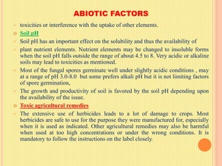 ABIOTIC FACTORS
 toxicities or interference with the uptake of other elements.
 Soil pH
 Soil pH has an important effect on the solubility and thus the availability of
 plant nutrient elements. Nutrient elements may be changed to insoluble forms
when the soil pH falls outside the range of about 4.5 to 8. Very acidic or alkaline
soils may lead to toxicities as mentioned.
 Most of the fungal spores germinate well under slightly acidic conditions , may
at a range of pH 3.0-8.0 but some prefers alkali pH but it is not limiting factors
of spore germination,
 The growth and productivity of soil is favored by the soil pH depending upon
the availability of the issue.
 Toxic agricultural remedies
 The extensive use of herbicides leads to a lot of damage to crops. Most
herbicides are safe to use for the purpose they were manufactured for, especially
when it is used as indicated. Other agricultural remedies may also be harmful
when used at too high concentrations or under the wrong conditions. It is
mandatory to follow the instructions on the label closely.
 
