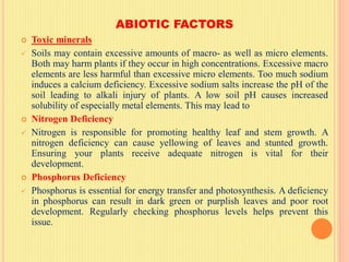 ABIOTIC FACTORS
 Toxic minerals
 Soils may contain excessive amounts of macro- as well as micro elements.
Both may harm plants if they occur in high concentrations. Excessive macro
elements are less harmful than excessive micro elements. Too much sodium
induces a calcium deficiency. Excessive sodium salts increase the pH of the
soil leading to alkali injury of plants. A low soil pH causes increased
solubility of especially metal elements. This may lead to
 Nitrogen Deficiency
 Nitrogen is responsible for promoting healthy leaf and stem growth. A
nitrogen deficiency can cause yellowing of leaves and stunted growth.
Ensuring your plants receive adequate nitrogen is vital for their
development.
 Phosphorus Deficiency
 Phosphorus is essential for energy transfer and photosynthesis. A deficiency
in phosphorus can result in dark green or purplish leaves and poor root
development. Regularly checking phosphorus levels helps prevent this
issue.
 