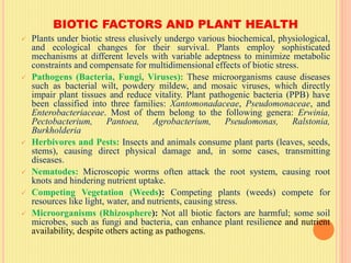 BIOTIC FACTORS AND PLANT HEALTH
 Plants under biotic stress elusively undergo various biochemical, physiological,
and ecological changes for their survival. Plants employ sophisticated
mechanisms at different levels with variable adeptness to minimize metabolic
constraints and compensate for multidimensional effects of biotic stress.
 Pathogens (Bacteria, Fungi, Viruses): These microorganisms cause diseases
such as bacterial wilt, powdery mildew, and mosaic viruses, which directly
impair plant tissues and reduce vitality. Plant pathogenic bacteria (PPB) have
been classified into three families: Xantomonadaceae, Pseudomonaceae, and
Enterobacteriaceae. Most of them belong to the following genera: Erwinia,
Pectobacterium, Pantoea, Agrobacterium, Pseudomonas, Ralstonia,
Burkholderia
 Herbivores and Pests: Insects and animals consume plant parts (leaves, seeds,
stems), causing direct physical damage and, in some cases, transmitting
diseases.
 Nematodes: Microscopic worms often attack the root system, causing root
knots and hindering nutrient uptake.
 Competing Vegetation (Weeds): Competing plants (weeds) compete for
resources like light, water, and nutrients, causing stress.
 Microorganisms (Rhizosphere): Not all biotic factors are harmful; some soil
microbes, such as fungi and bacteria, can enhance plant resilience and nutrient
availability, despite others acting as pathogens.
 