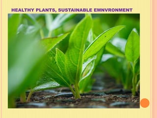 HEALTHY PLANTS, SUSTAINABLE EMNVRONMENT
 