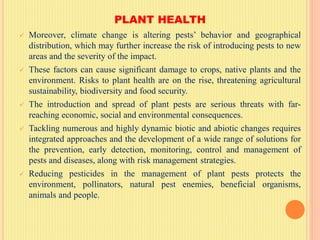 PLANT HEALTH
 Moreover, climate change is altering pests’ behavior and geographical
distribution, which may further increase the risk of introducing pests to new
areas and the severity of the impact.
 These factors can cause significant damage to crops, native plants and the
environment. Risks to plant health are on the rise, threatening agricultural
sustainability, biodiversity and food security.
 The introduction and spread of plant pests are serious threats with far-
reaching economic, social and environmental consequences.
 Tackling numerous and highly dynamic biotic and abiotic changes requires
integrated approaches and the development of a wide range of solutions for
the prevention, early detection, monitoring, control and management of
pests and diseases, along with risk management strategies.
 Reducing pesticides in the management of plant pests protects the
environment, pollinators, natural pest enemies, beneficial organisms,
animals and people.
 