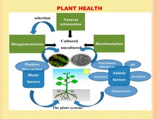 Factors affecting Plant Health – Edaphic factors and Biotic Factors | PDF