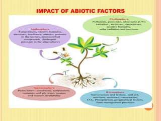 Factors affecting Plant Health – Edaphic factors and Biotic Factors | PDF