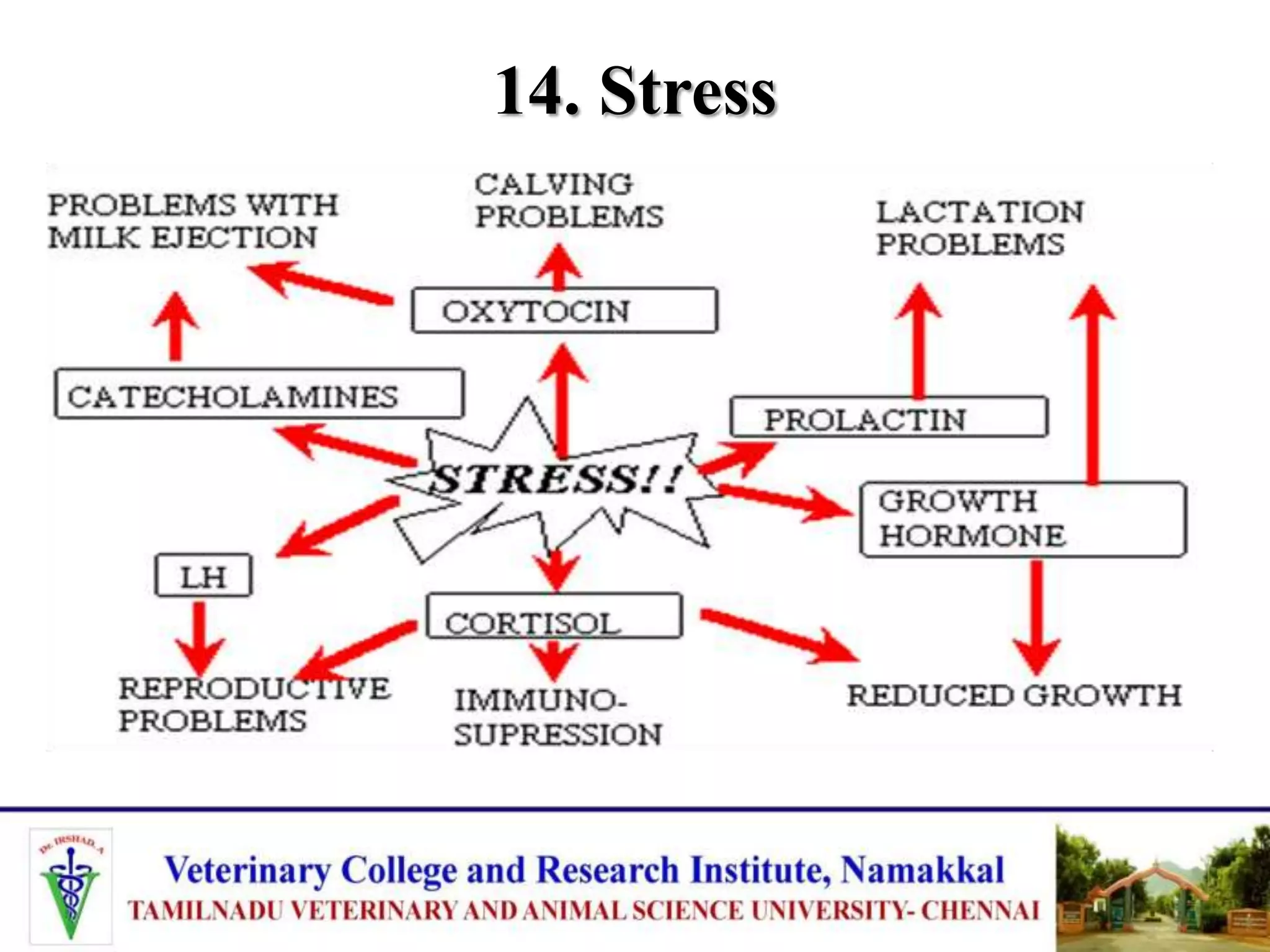 Factors affecting quality and quantity of milk in dairy cattle