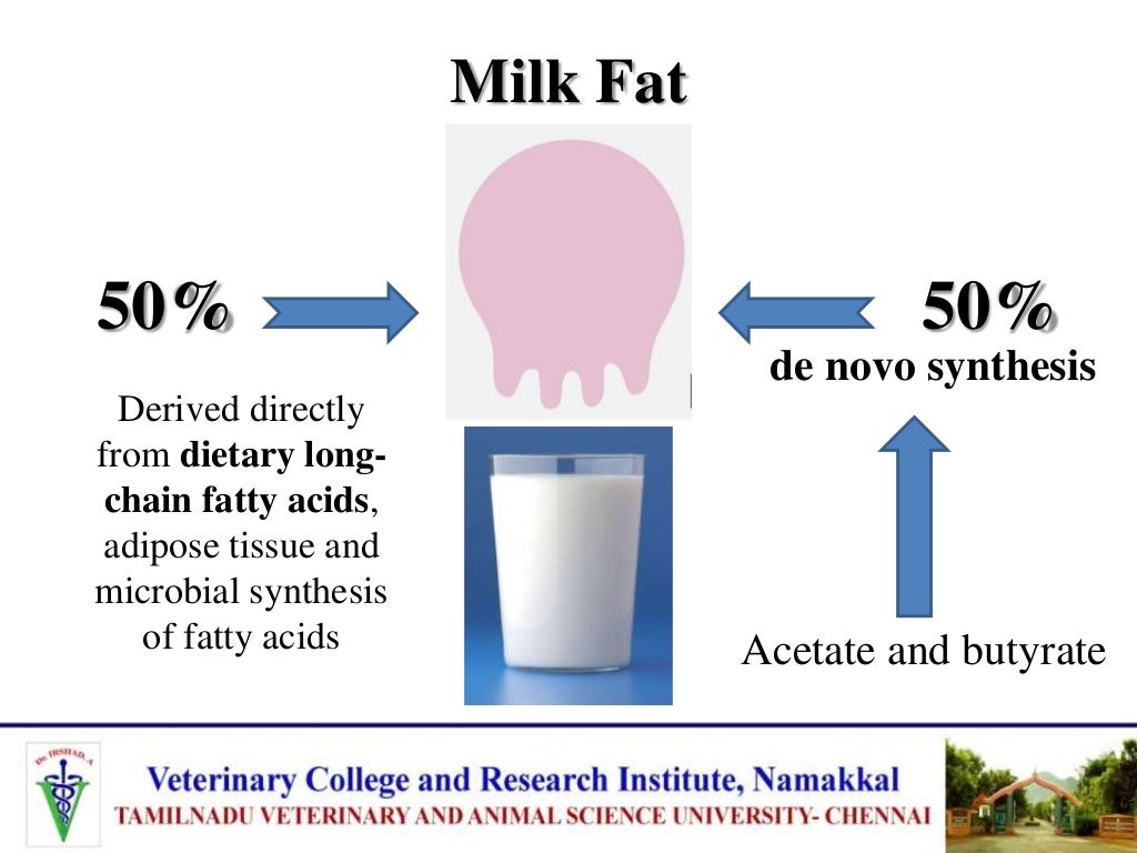 Factors affecting quality and quantity of milk in dairy cattle