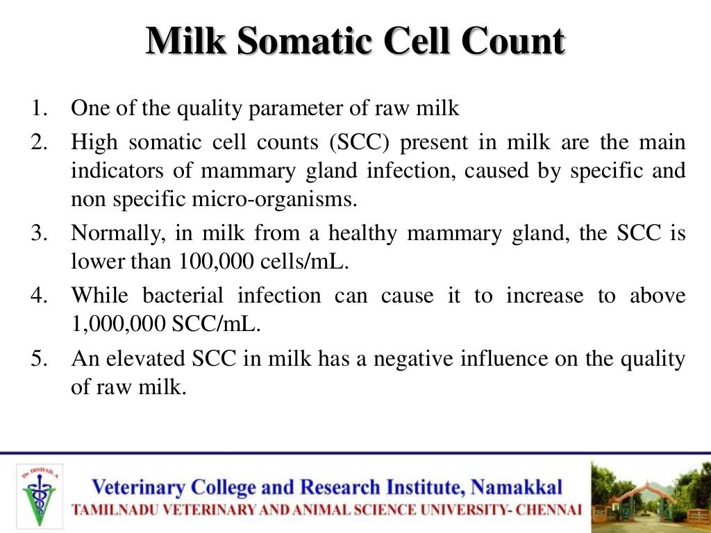 Factors affecting quality and quantity of milk in dairy cattle