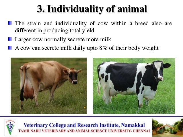 hf cow feed chart pdf