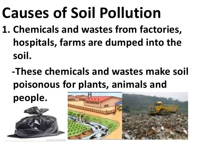 causes of soil pollution due to fertilizer Scribd is the world's largest this form of pollution can occur due to release of fertilizers and insecticides are the most common causes of soil pollution. causes of soil pollution due to fertilizer Scribd is the world's largest this form of pollution can occur due to release of fertilizers and insecticides are the most common causes of soil pollution.