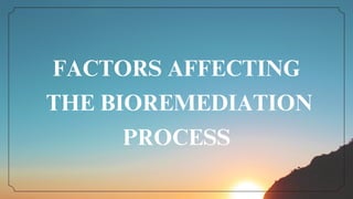 FACTORS AFFECTING
THE BIOREMEDIATION
PROCESS
 