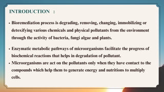 INTRODUCTION :
Bioremediation process is degrading, removing, changing, immobilizing or
detoxifying various chemicals and physical pollutants from the environment
through the activity of bacteria, fungi algae and plants.
Enzymatic metabolic pathways of microorganisms facilitate the progress of
biochemical reactions that helps in degradation of pollutant.﻿
Microorganisms are act on the pollutants only when they have contact to the
compounds which help them to generate energy and nutritions to multiply
cells.
 