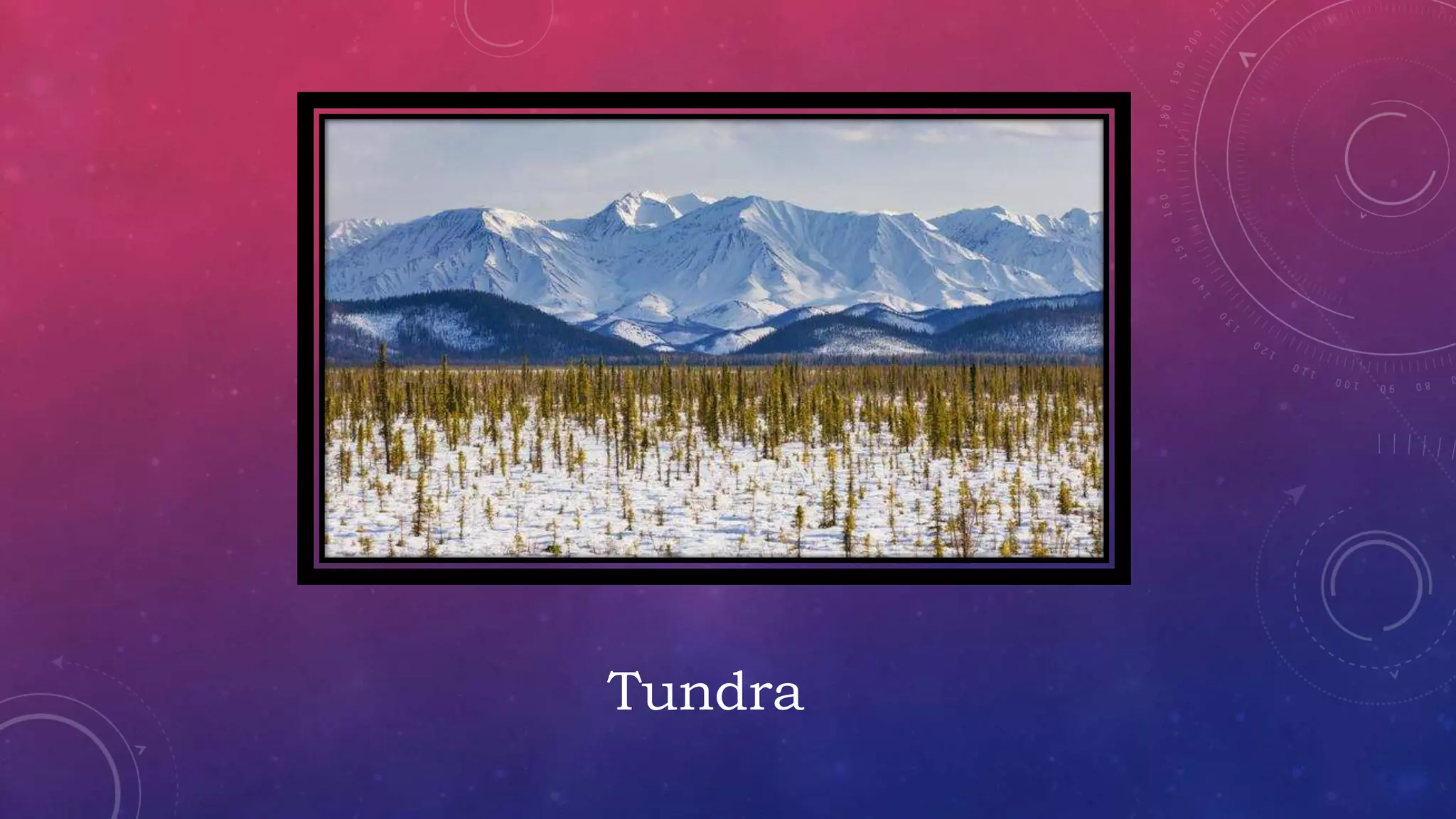 Tundra
 