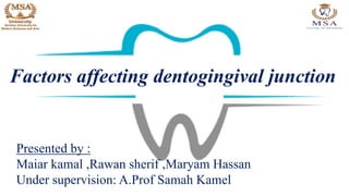 Factors affecting dentogingival junction
Presented by :
Maiar kamal ,Rawan sherif ,Maryam Hassan
Under supervision: A.Prof Samah Kamel
 