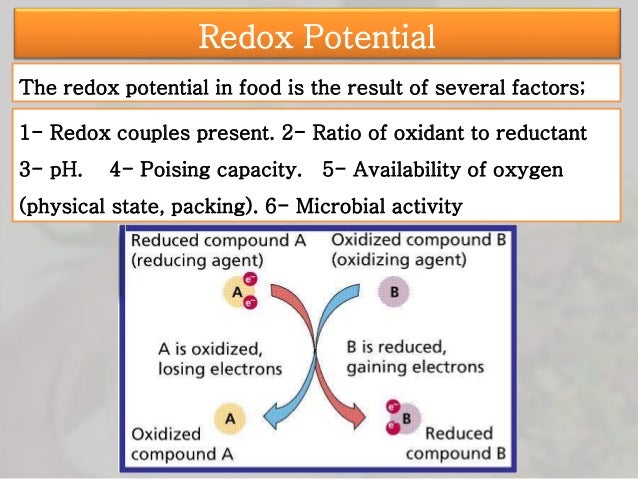 Factors affecting the growth and survival of micro