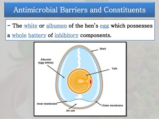Micro Factors Of Whole Foods Micro Factors Of Whole Foods