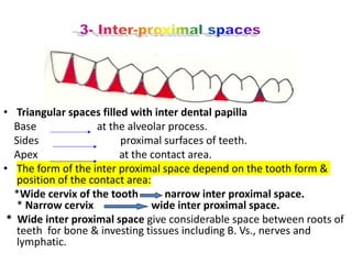 factors affecting the periodontiumcgbvvbb.pdf