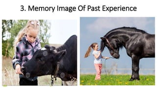 3. Memory Image Of Past Experience
 