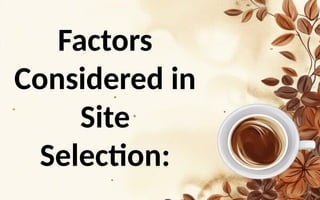 Consederd Image Factors Considered in Site Selection.pptx