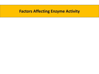 Factors Affecting Enzyme Activity
 