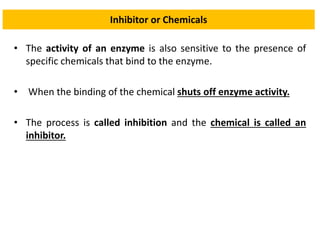 Inhibitor or Chemicals
• The activity of an enzyme is also sensitive to the presence of
specific chemicals that bind to the enzyme.
• When the binding of the chemical shuts off enzyme activity.
• The process is called inhibition and the chemical is called an
inhibitor.
 