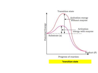‘transition state
 