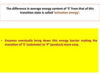 The difference in average energy content of ‘S’ from that of this
transition state is called ‘activation energy’.
• Enzymes eventually bring down this energy barrier making the
transition of ‘S’ (substrate) to ‘P’ (product) more easy.
 