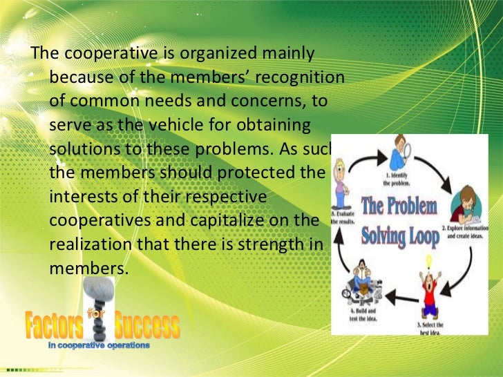 Factors for Success in Cooperative Operations