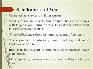 3. Influence of Sex
 Castrated males results in fatter carcass.
 Short scrotum bulls and rams produce heavier carcasses
with larger L.dorsi muscle areas, less external and internal
fat than steers and wethers.
 These effects are related to hormonal status of animals.
 Steers produce significantly more marbling and more
tender meat than bulls.
 Bovine males have more intramuscular connective tissue
than females.
 Male chicks had heavier carcasses compared to the female
ones
 