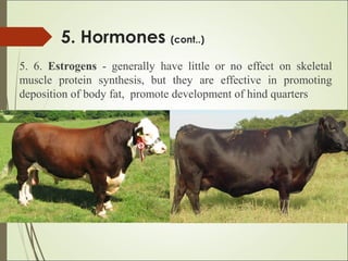 5. Hormones (cont..)
5. 6. Estrogens - generally have little or no effect on skeletal
muscle protein synthesis, but they are effective in promoting
deposition of body fat, promote development of hind quarters
 