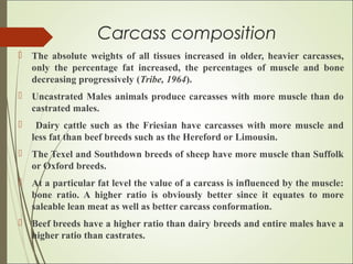 Carcass composition
 The absolute weights of all tissues increased in older, heavier carcasses,
only the percentage fat increased, the percentages of muscle and bone
decreasing progressively (Tribe, 1964).
 Uncastrated Males animals produce carcasses with more muscle than do
castrated males.
 Dairy cattle such as the Friesian have carcasses with more muscle and
less fat than beef breeds such as the Hereford or Limousin.
 The Texel and Southdown breeds of sheep have more muscle than Suffolk
or Oxford breeds.
 At a particular fat level the value of a carcass is influenced by the muscle:
bone ratio. A higher ratio is obviously better since it equates to more
saleable lean meat as well as better carcass conformation.
 Beef breeds have a higher ratio than dairy breeds and entire males have a
higher ratio than castrates.
 