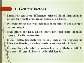 1. Genetic factors
 Large between-breed differences exist within all farm animal
species for growth and carcass composition traits.
 Different breeds differ in their rate of maturation and average
mature weight.
 Texel breed of sheep, which shows less total body fat than
expected for its mature size.
 In beef cattle, late-maturing breeds, such as the Continental
European breeds producing heavier carcasses with little fat.
 In sheep larger breeds that mature later (e.g. Modern Suffolk
strains) will result in heavier body with less fat.
 