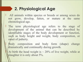 2. Physiological Age
 All animals within species or breeds or among sexes do
not grow, develop, fatten, or mature at the same
chronological age.
 The term physiological age refers to the stage of
development of the animal that can be described by
identifiable stages of the body development or function,
such as body height and weight, body composition, or
onset of puberty.
 Body composition and body form (shape) change
dramatically and continually during growth.
 At birth the head weight is ~ 20% of live weight, while at
slaughter it is only about 5%.
 