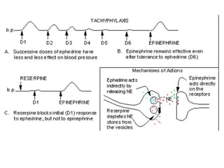 Factors modifying drug action