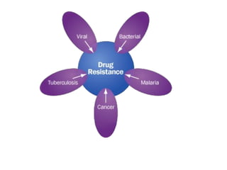 Factors modifying drug action