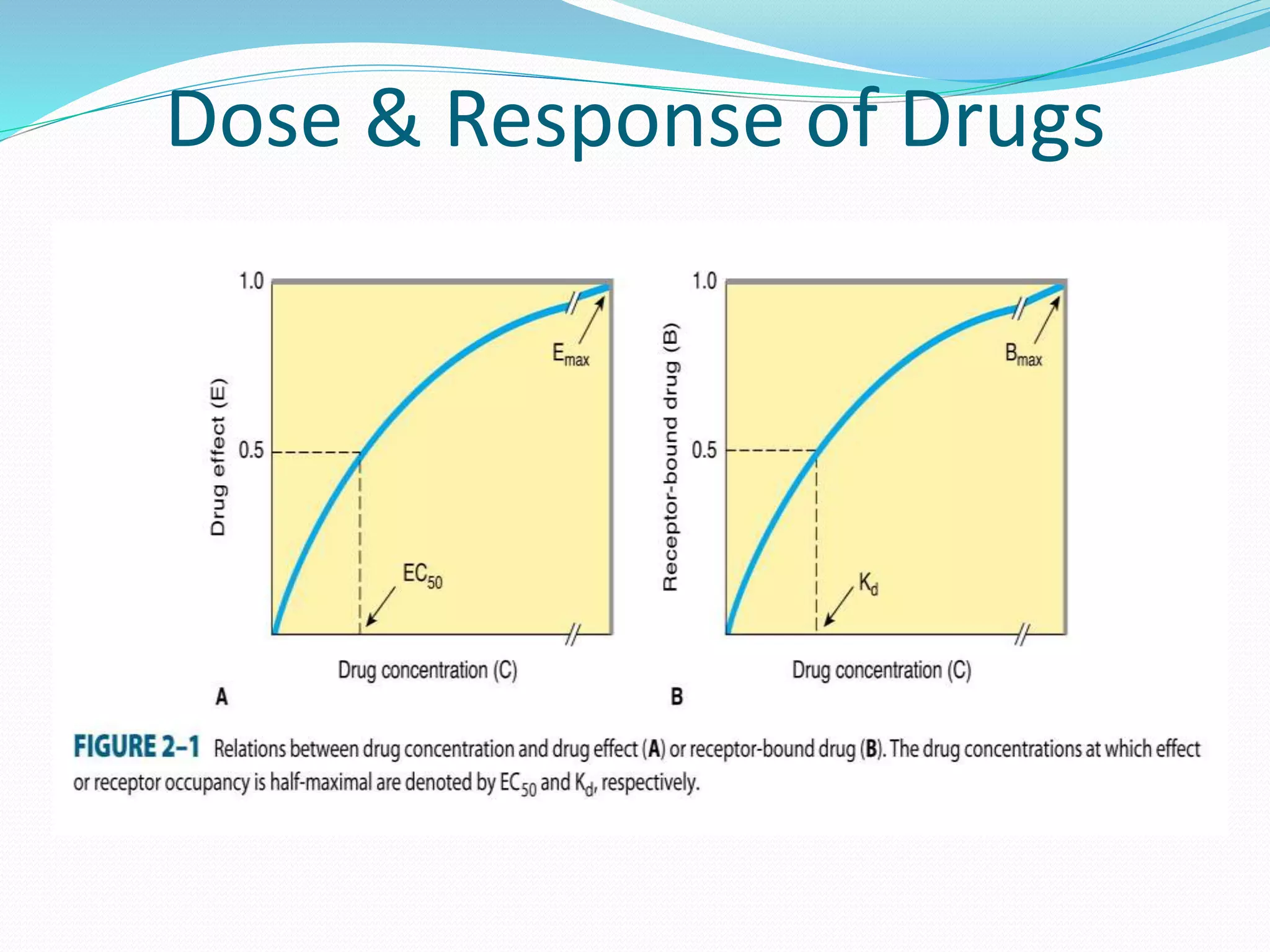 Dose & Response of Drugs
 