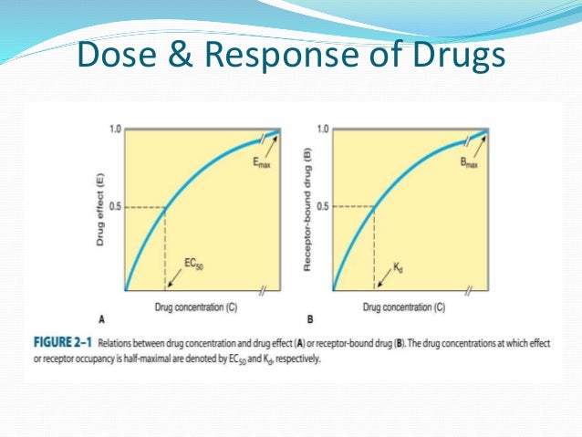 Placebo effect in animals information