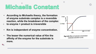 • According to Michaelis theory, the formation
of enzyme substrate complex is a reversible
reaction, while the breakdown of the complex
to enzyme + product is irreversible
• Km is independent of enzyme concentration.
• The lesser the numerical value of Km the
affinity of the enzyme for the substrate is
more.
 