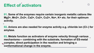 Effect of activators
01. Some of the enzymes require certain inorganic metallic cations like
Mg2+, Mn2+, Zn2+, Ca2+, Co2+, Cu2+, Na+, K+ etc. for their optimum
activity.
02. Anions are also needed for enzyme activity e.g. chloride ion (Cl–) for
amylase.
03. Metals function as activators of enzyme velocity through various
mechanisms— combining with the substrate, formation of ES-metal
complex, direct participation in the reaction and bringing a
conformational change in the enzyme.
 