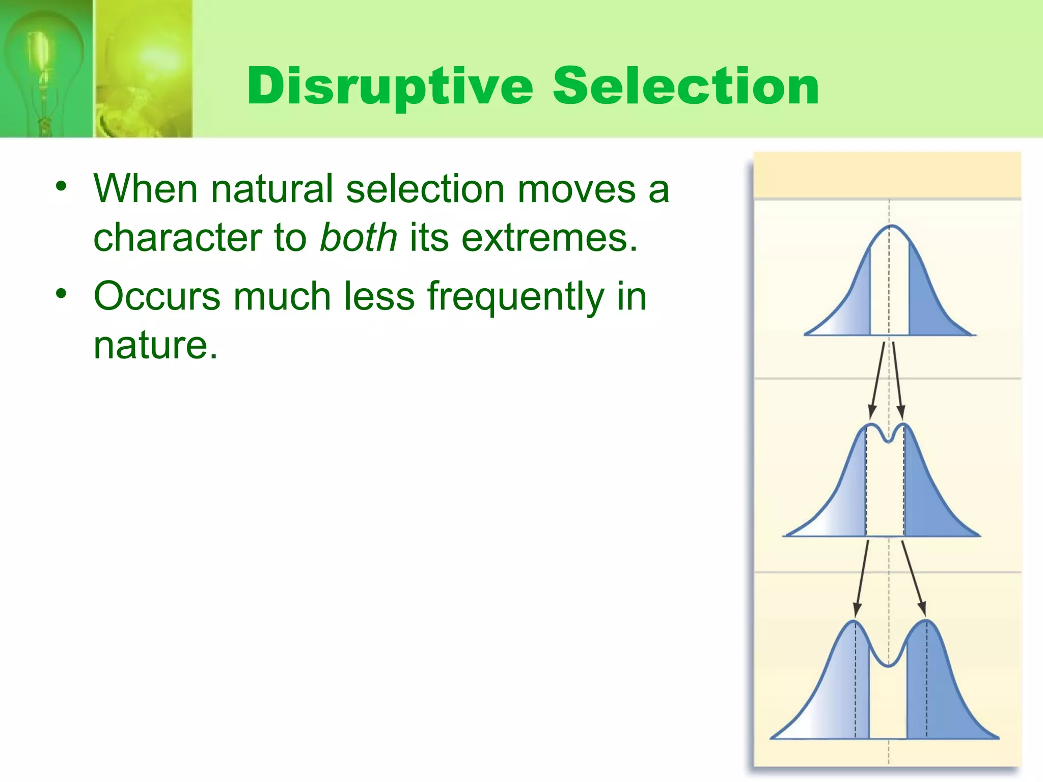 Disruptive Selection
• When natural selection moves a
character to both its extremes.
• Occurs much less frequently in
nature.
 