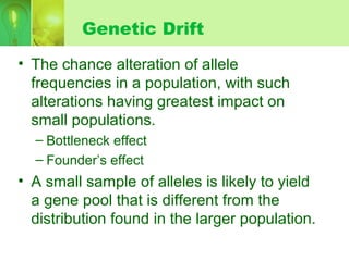 Genetic Drift
• The chance alteration of allele
frequencies in a population, with such
alterations having greatest impact on
small populations.
– Bottleneck effect
– Founder’s effect
• A small sample of alleles is likely to yield
a gene pool that is different from the
distribution found in the larger population.
 