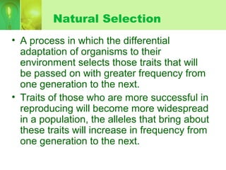 Natural Selection
• A process in which the differential
adaptation of organisms to their
environment selects those traits that will
be passed on with greater frequency from
one generation to the next.
• Traits of those who are more successful in
reproducing will become more widespread
in a population, the alleles that bring about
these traits will increase in frequency from
one generation to the next.
 