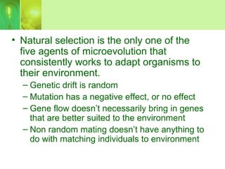 • Natural selection is the only one of the
five agents of microevolution that
consistently works to adapt organisms to
their environment.
– Genetic drift is random
– Mutation has a negative effect, or no effect
– Gene flow doesn’t necessarily bring in genes
that are better suited to the environment
– Non random mating doesn’t have anything to
do with matching individuals to environment
 