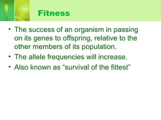 Fitness
• The success of an organism in passing
on its genes to offspring, relative to the
other members of its population.
• The allele frequencies will increase.
• Also known as “survival of the fittest”
 