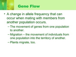 Gene Flow
• A change in allele frequency that can
occur when mating with members from
another population occurs.
– The movement of genes from one population
to another.
– Migration – the movement of individuals from
one population into the territory of another.
– Plants migrate, too.
 